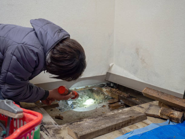 Best Airborne Mold Testing  in Saugatuck, CT