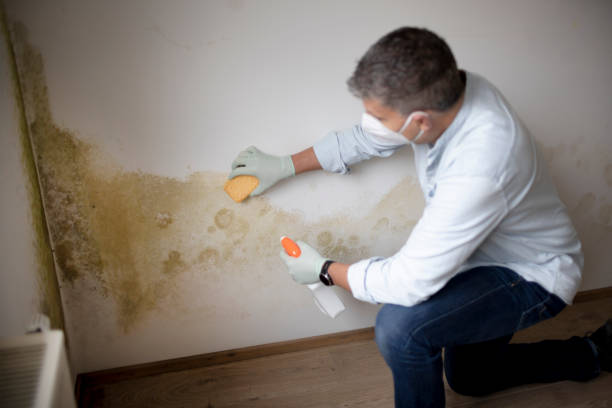 Mold Remediation for Vacation Homes in Saugatuck, CT